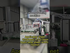 PLC Kontrolü Bozulabilir Malzemeler için Vakum Termoforming Makinesi Maksimum Formlama Derinliği 180mm