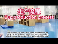 PLC Plastik Termoforming Makinesi 750 * 500mm Form Alanı ile