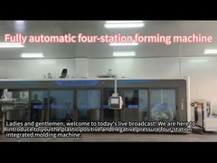 Dört istasyonlu vakum şekillendirme makinesi plastik meyve kutuları yapar