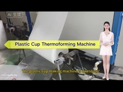 Tamamen otomatik Plastik çay bardağı termoforming makinesi