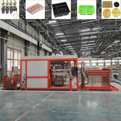 Tam otomatik plastik vakum şekillendirme makineleri plastik yumurta tepsisi makinesi