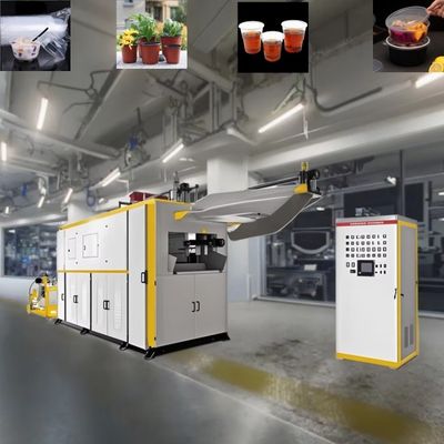 Yüksek hızlı Plastik bardak termoforming makinesi tek kullanımlık plastik cam yapma makinesi