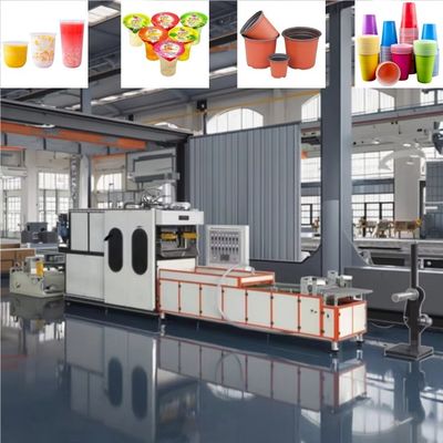 Tam otomatik plastik bardak şekillendirme makinesi